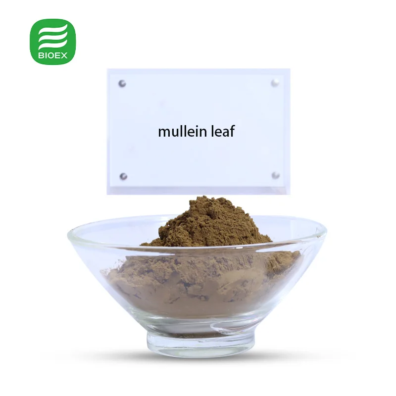 Factory Price Organic Blended Tea All Natural Herbal Mullein Leaf Lung Tonic for Smokers' Health Bagged Tea Care